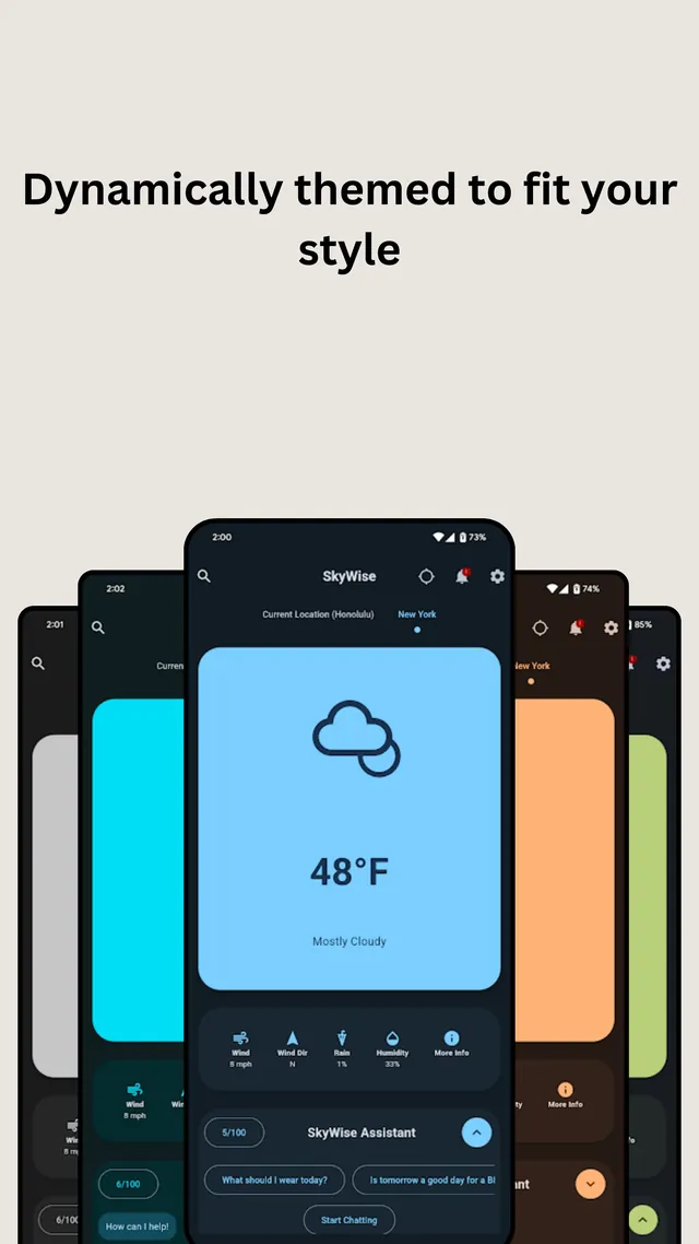 SkyWise in several color themes